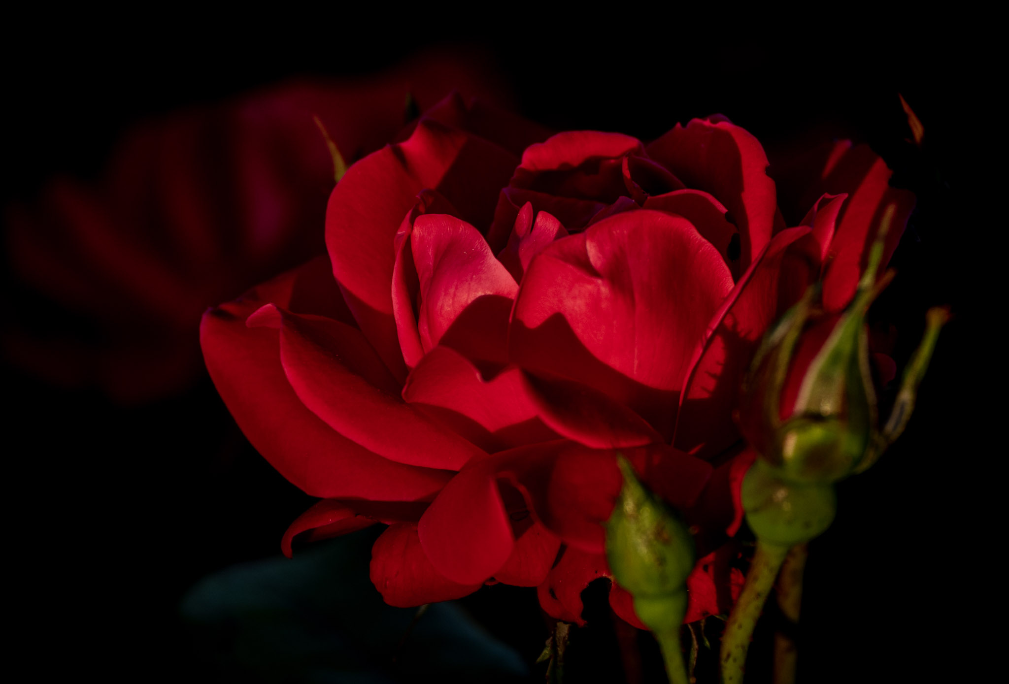 Photography 15
