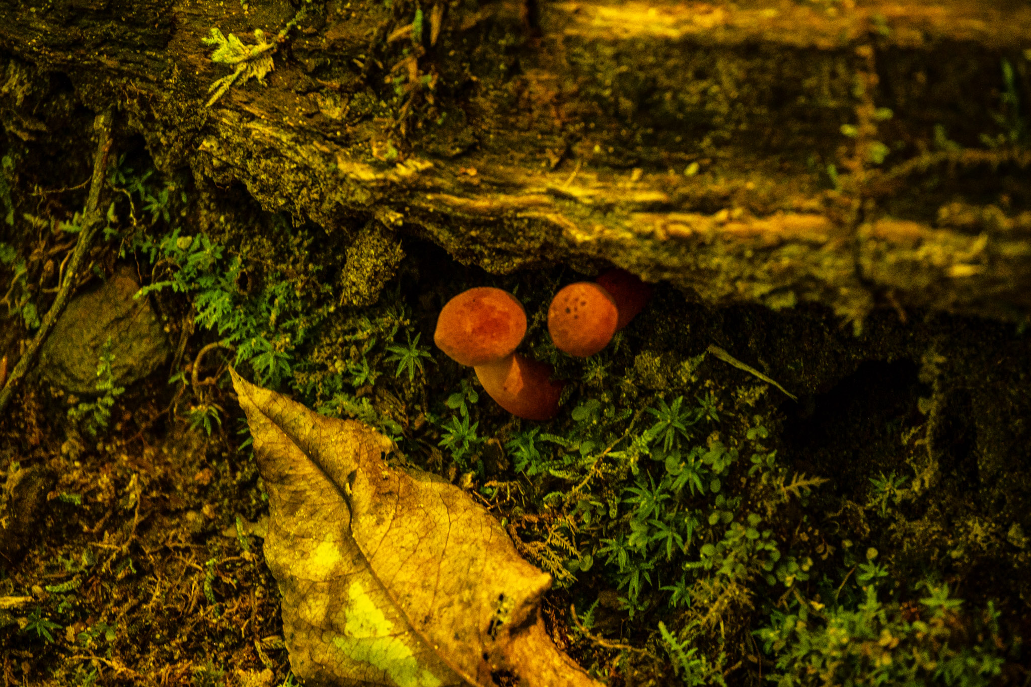 Photography 9