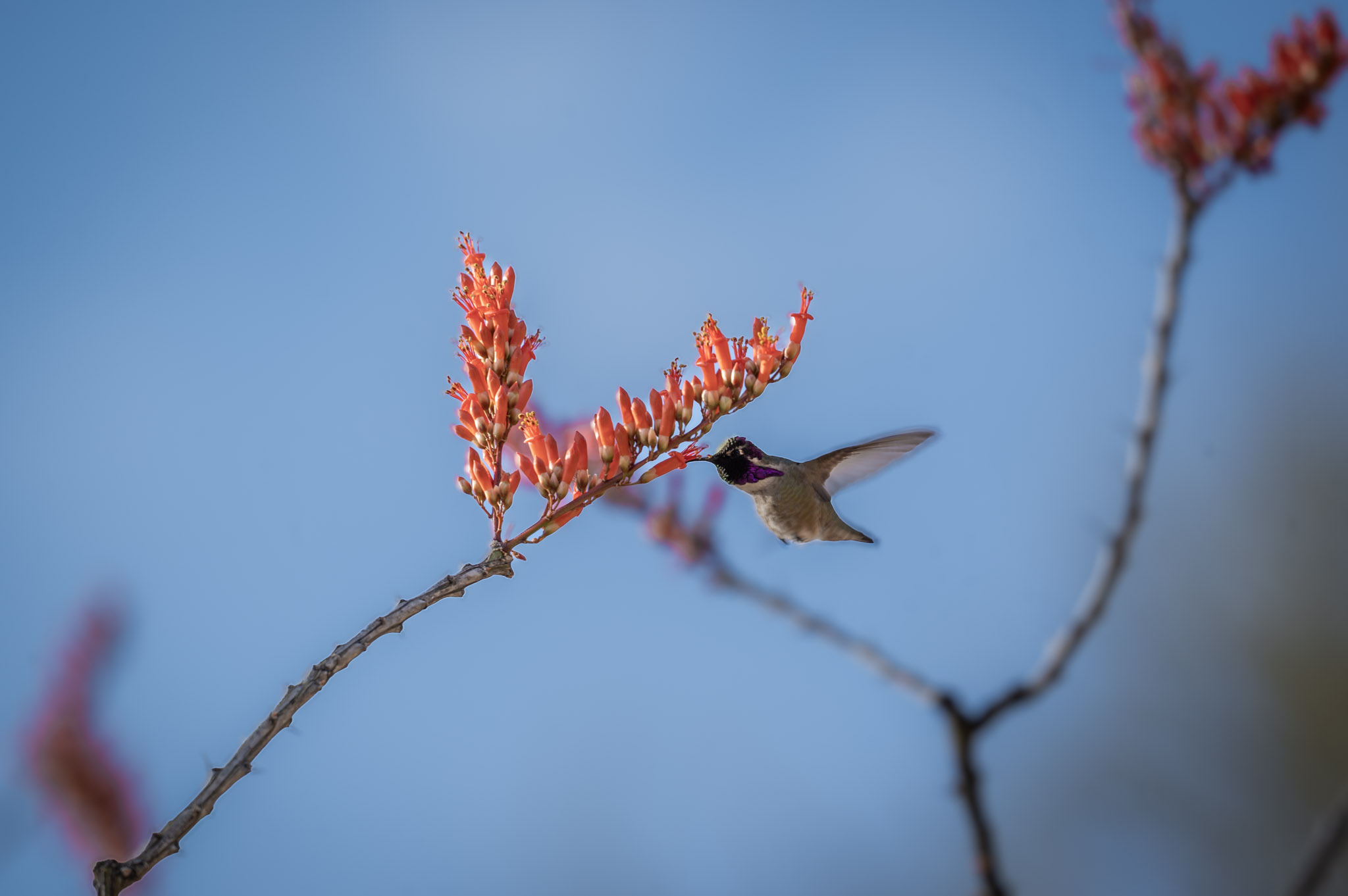 Photography 28